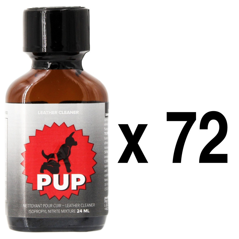 BGP Leather Cleaner PUP 24ml x72